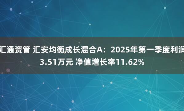 汇通资管 汇安均衡成长混合A：2025年第一季度利润3.51万元 净值增长率11.62%