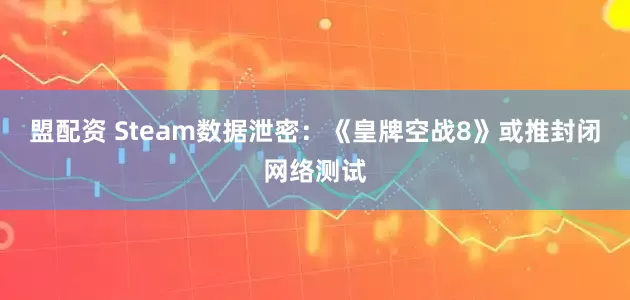 盟配资 Steam数据泄密：《皇牌空战8》或推封闭网络测试